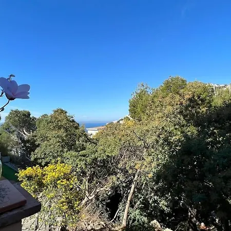 Bonito Piso En Canyelles * Rosas