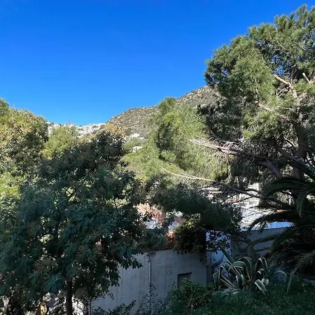 Bonito Piso En Canyelles Apartamento Rosas